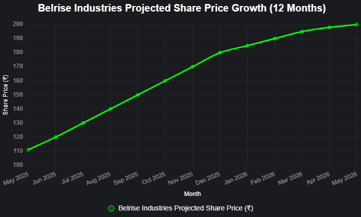 belrise industries limited