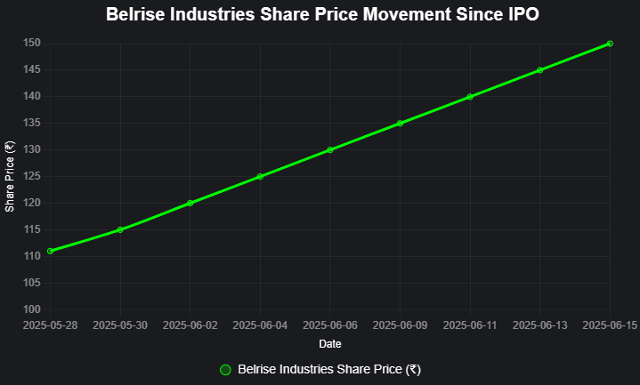 belrise industries share price
